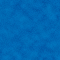 Spotsy Blue 29912-BW