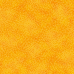 Spotsy Orange 29912-SO