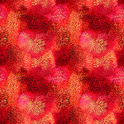 Color Burst Red 32215-R
